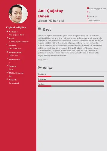 Ziraat Mühendisi Cv Örnekleri cv indir